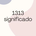 1313 significado
