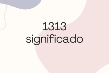 1313 significado