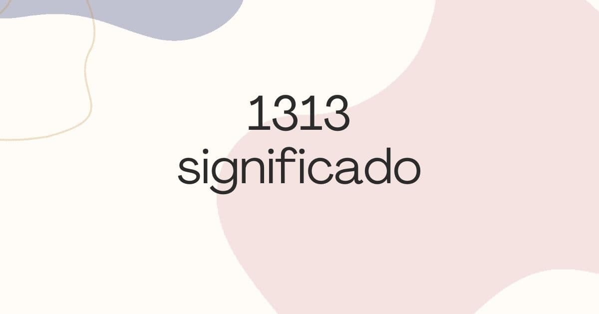 1313 significado