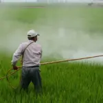 herbicide