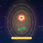 Significado das Cores das Rosas: Descubra a Mensagem de Cada Cor