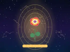 Significado das Cores das Rosas: Descubra a Mensagem de Cada Cor