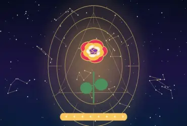 Significado das Cores das Rosas: Descubra a Mensagem de Cada Cor