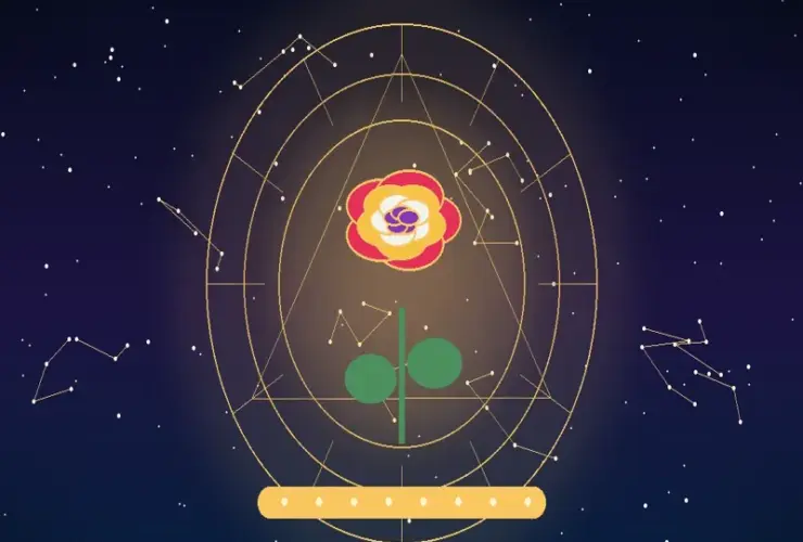 Significado das Cores das Rosas: Descubra a Mensagem de Cada Cor