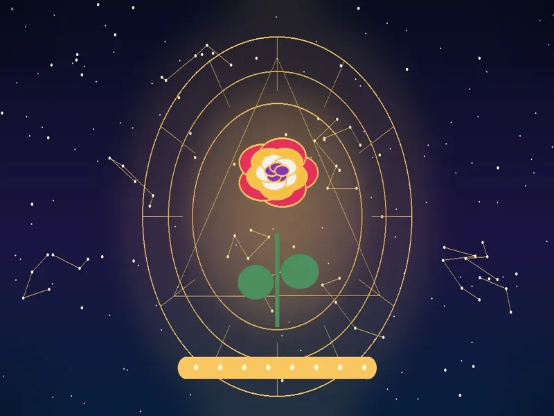 Significado das Cores das Rosas: Descubra a Mensagem de Cada Cor