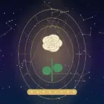 Significado das Rosas Brancas: Simbolismo de Pureza, Paz e Respeito