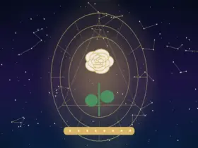 Significado das Rosas Brancas: Simbolismo de Pureza, Paz e Respeito