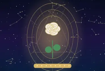 Significado das Rosas Brancas: Simbolismo de Pureza, Paz e Respeito