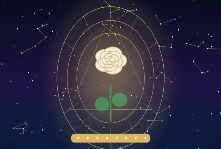 Significado das Rosas Brancas: Simbolismo de Pureza, Paz e Respeito