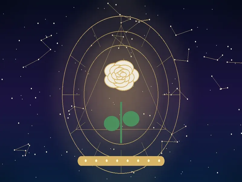 Significado das Rosas Brancas: Simbolismo de Pureza, Paz e Respeito