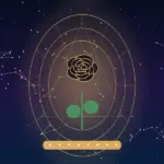 Significado das Rosas Pretas: O Que Elas Representam Além do Mistério?