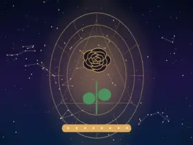 Significado das Rosas Pretas: O Que Elas Representam Além do Mistério?