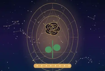 Significado das Rosas Pretas: O Que Elas Representam Além do Mistério?