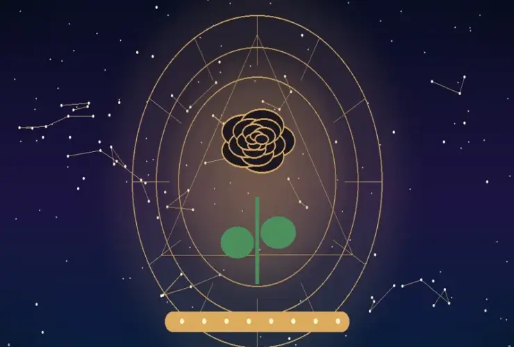 Significado das Rosas Pretas: O Que Elas Representam Além do Mistério?