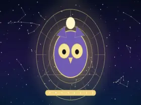 Significado Espiritual da Coruja: Entenda o Aviso por Trás Dessa Aparição
